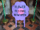 Ninfield Flower Festival 2019